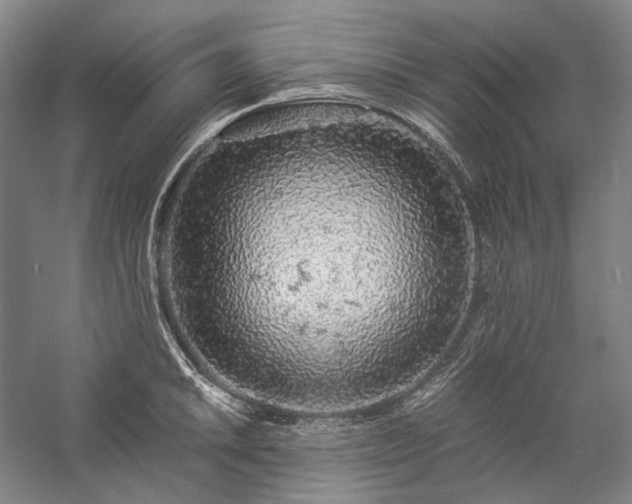 X0000057101046200509091158