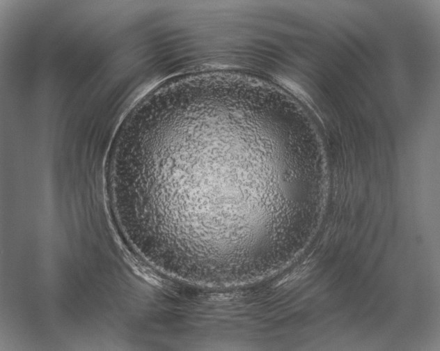 X0000057101047200509091158