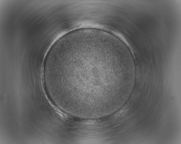 X0000057101048200509091158