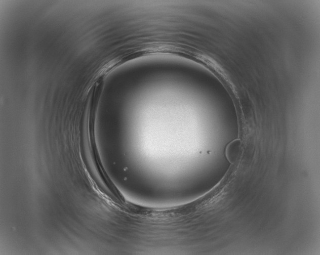 X0000057101049200509091158