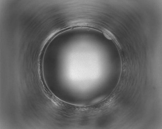 X0000057101051200509091158