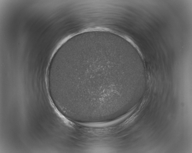 X0000057101054200509091158