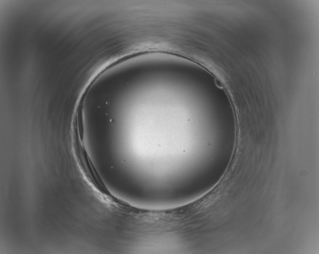 X0000057101056200509091158