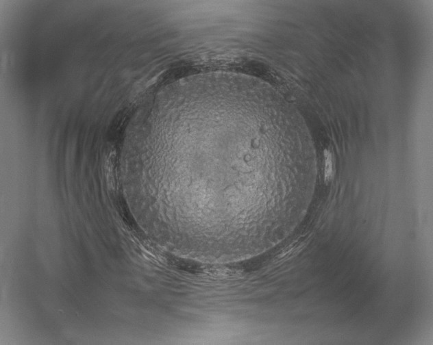 X0000057101059200509091158