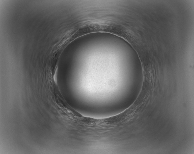 X0000057101061200509091158