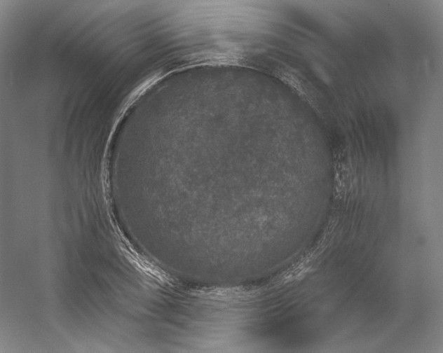 X0000057101074200509091157