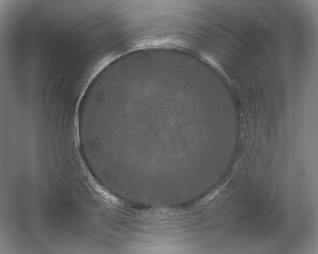 X0000057101079200509091157