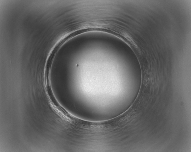 X0000057101080200509091157