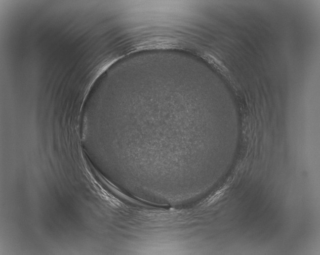 X0000057101081200509091157