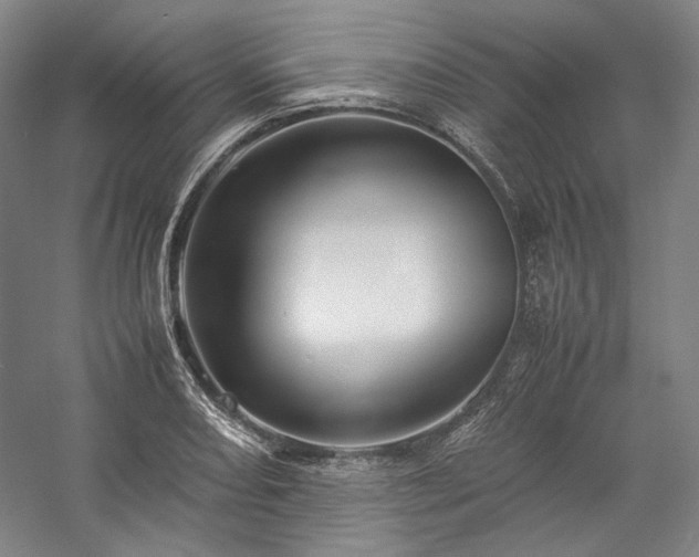 X0000057101082200509091157