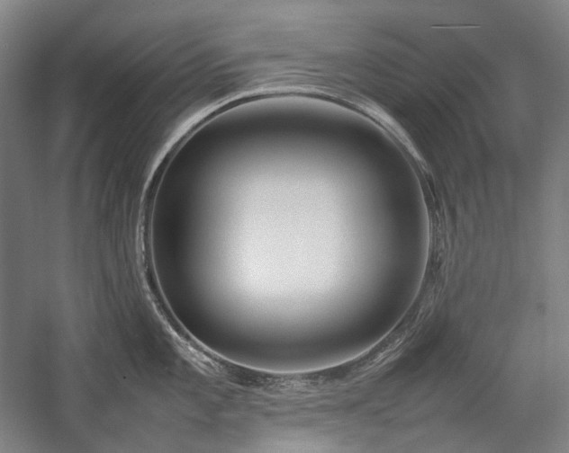 X0000057101101200509091157