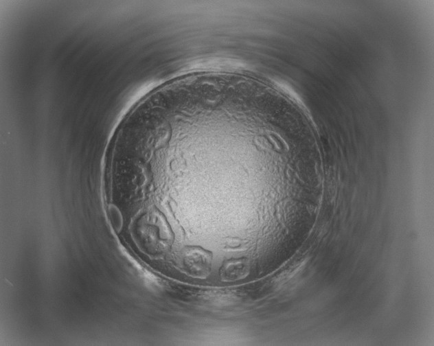 X0000057101103200509091157