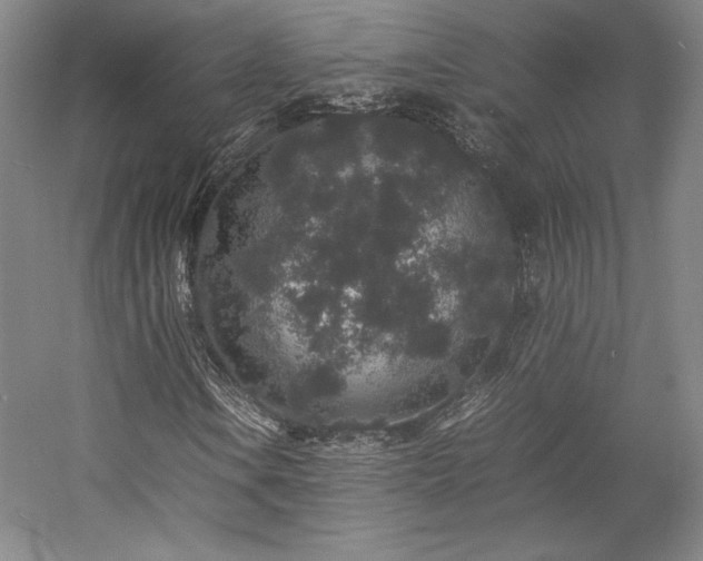 X0000057101106200509091156