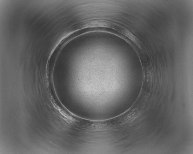 X0000057101116200509091156