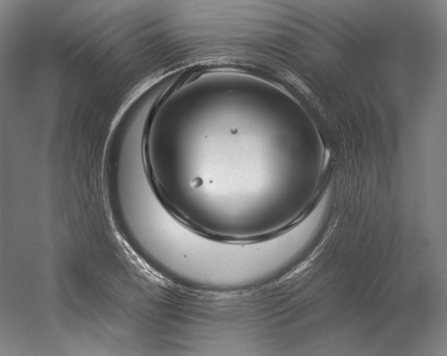 X0000057101122200509091156