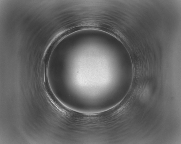 X0000057101123200509091156