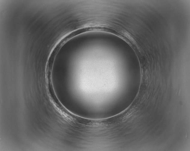 X0000057101124200509091156