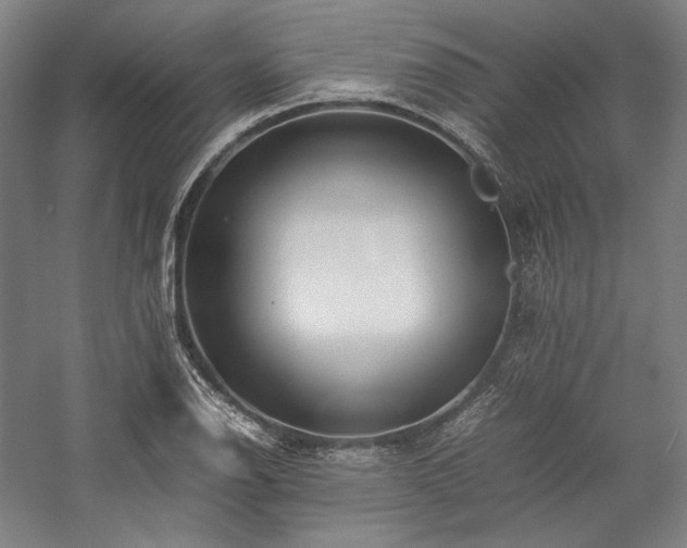 X0000057101126200509091156