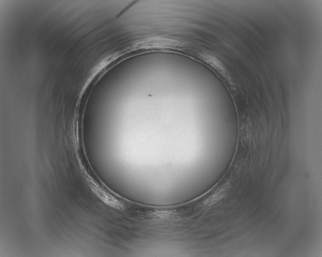 X0000057101130200509091156