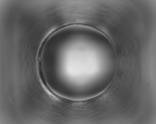 X0000057101135200509091157