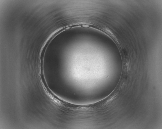 X0000057101140200509091157