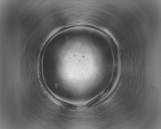 X0000057101142200509091157