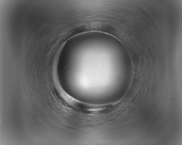 X0000057101153200509091156