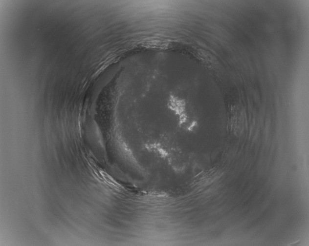 X0000057101154200509091156