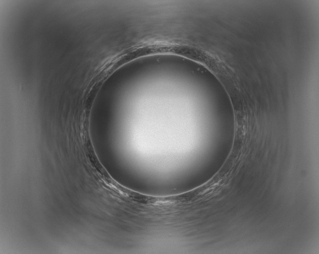X0000057101157200509091156