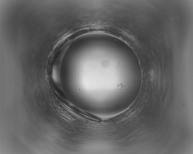 X0000057101160200509091156