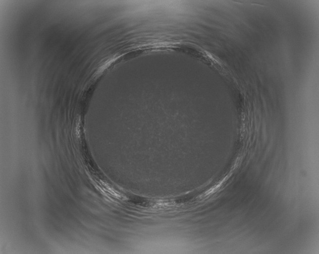X0000057101161200509091156