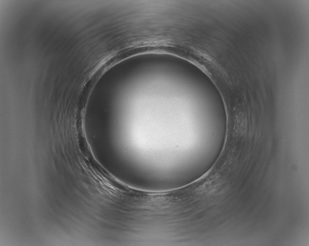 X0000057101162200509091156