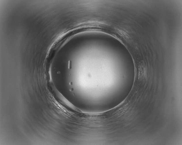 X0000057101164200509091156