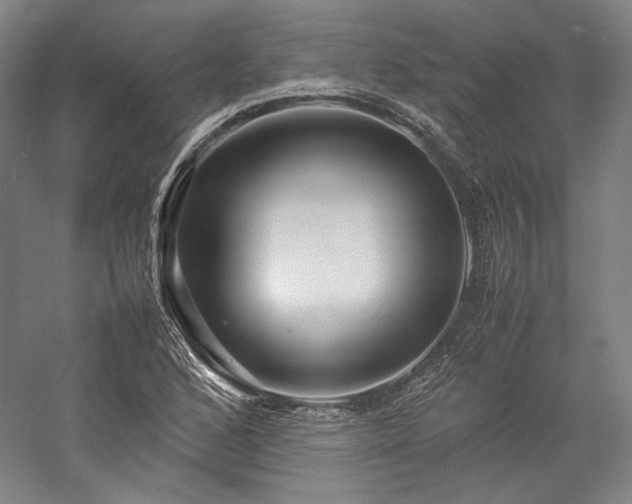 X0000057101168200509091156