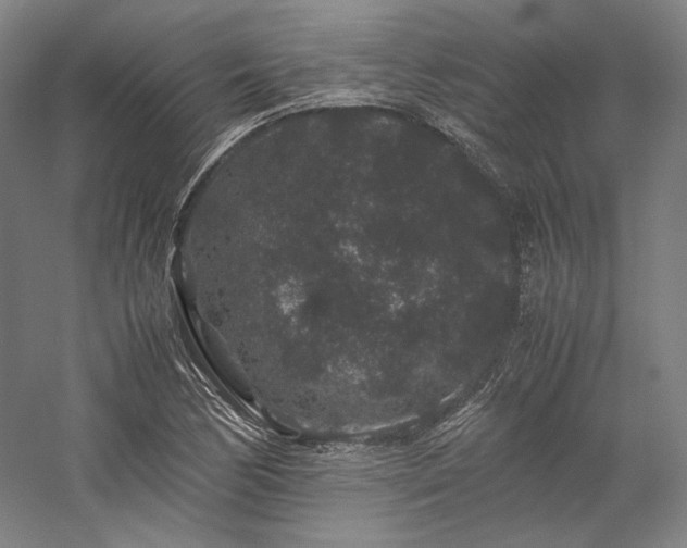 X0000057101170200509091156