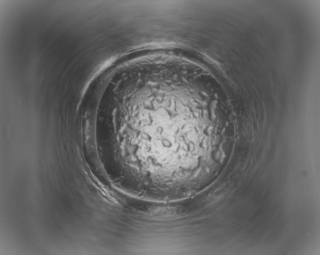 X0000057101171200509091156