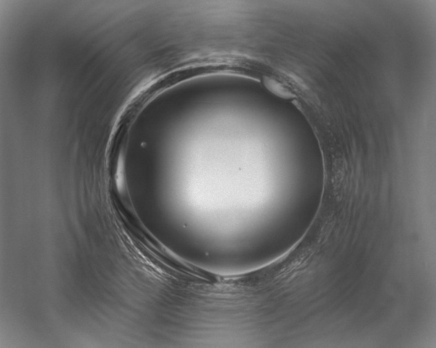 X0000057101172200509091156