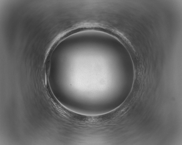 X0000057101175200509091156