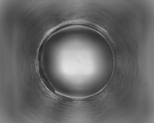 X0000057101176200509091156