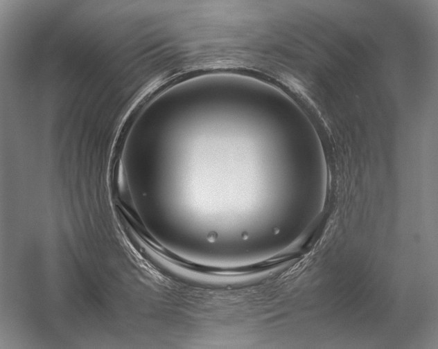 X0000057101181200509091156