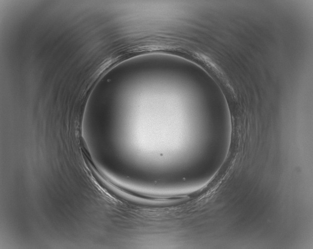 X0000057101185200509091155