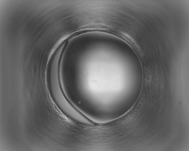 X0000057101188200509091155