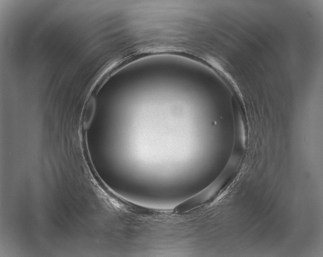 X0000057101189200509091155