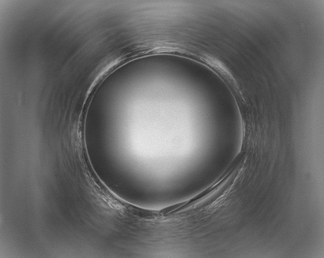 X0000057101190200509091155