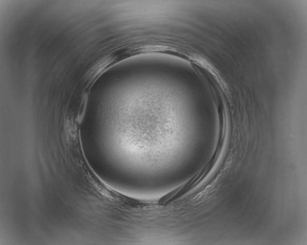 X0000057101193200509091155