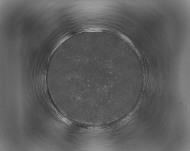 X0000057101194200509091155