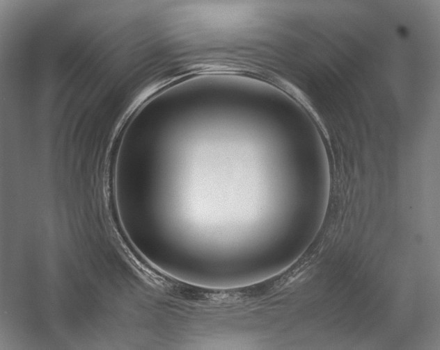 X0000057101195200509091155