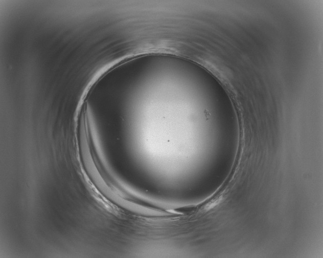 X0000057101200200509091155
