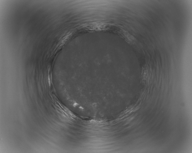 X0000057101202200509091154