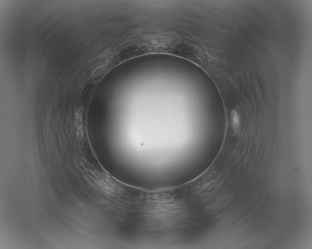 X0000057101203200509091154